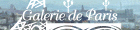 Galerie de Paris, galerie d'art d餩饠ࠐaris